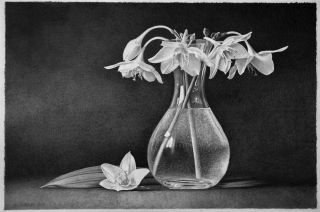 Ахроматический рисунок