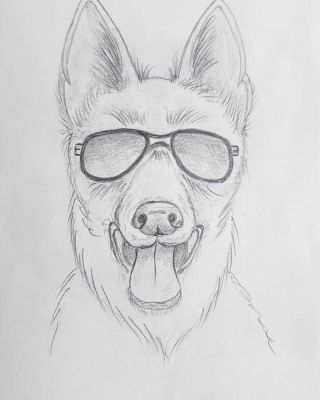 Легкие рисунки собак