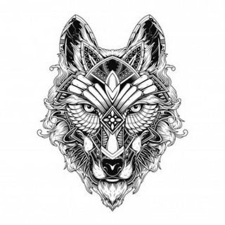 Морда волка эскиз
