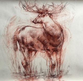 Рисунки сангиной