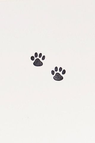 Нарисованная лапа кота
