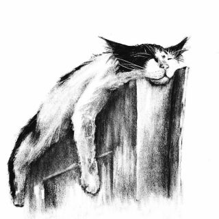 Рисунок кота углем