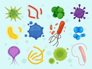 Рисунки бактерий
