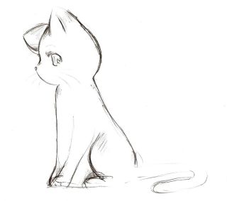 Легкие рисунки котят