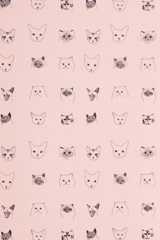 Лицо кота рисунок