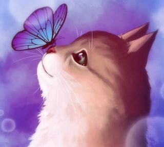 Милые рисунки кошки