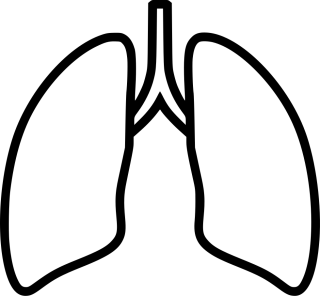 Легкие контурные рисунки