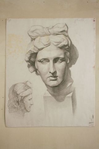 Голова аполлона рисунок