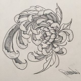 Хризантема эскиз
