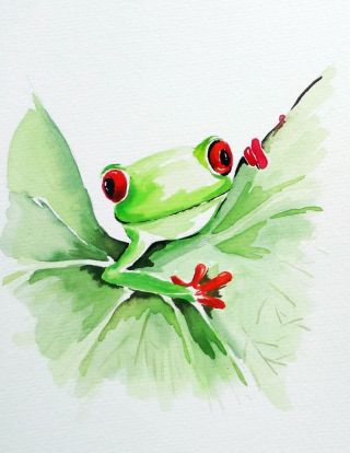 Маленькие рисунки лягушки