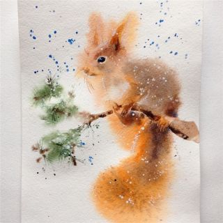 Белочка рисунок