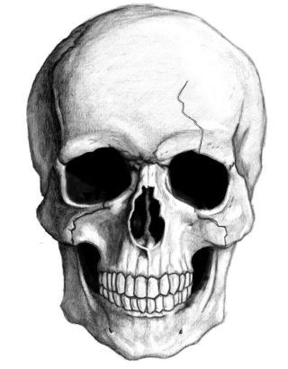 Череп рисунок легкий