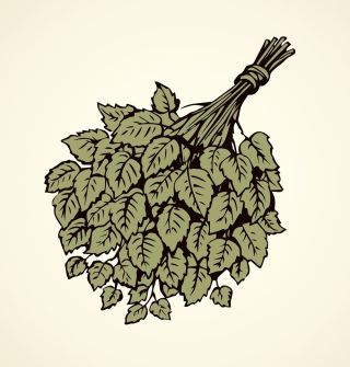 Веник рисунок