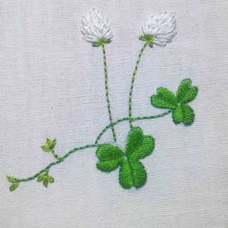 Клевер цветок рисунок