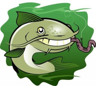 Налим рисунок