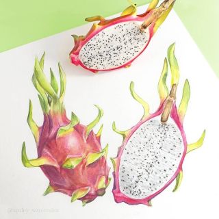 Драконий фрукт рисунок