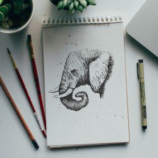 Эскизы животных