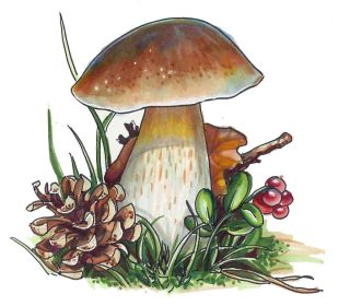 Грибок рисунок для детей