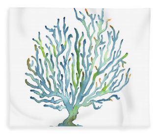 Ламинария рисунок