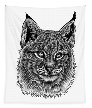 Рисунок рыси легкий