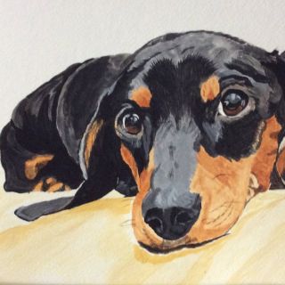 Смешная такса рисунок