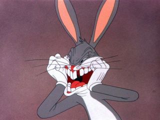 Бакс бани рисунок