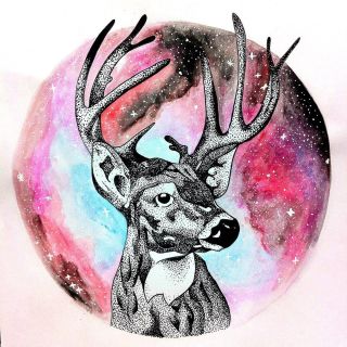 Северный олень рисунок