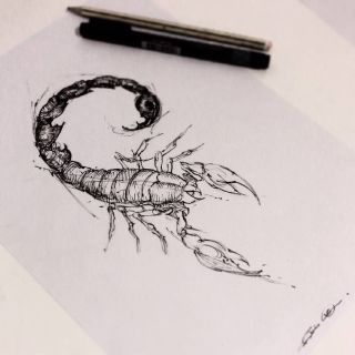Татуировка скорпион эскиз