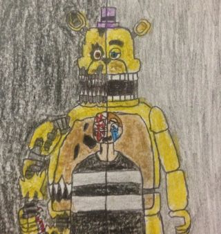 Фредбер раскраска