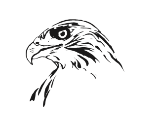 Сокол эскиз