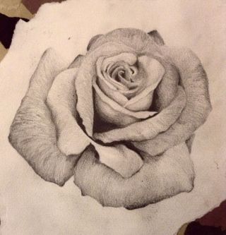 Роза рисунок ручкой