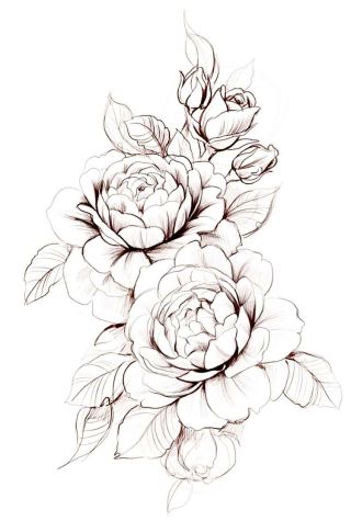 Пионы для срисовки