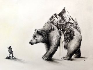 Сидящий медведь рисунок