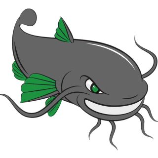Сом рисунок карандашом