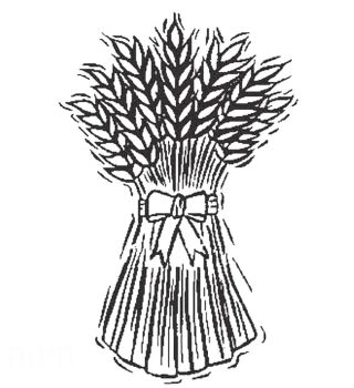 Солома рисунок