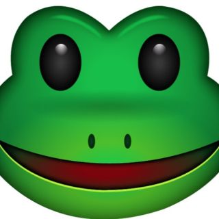 Морда лягушки рисунок