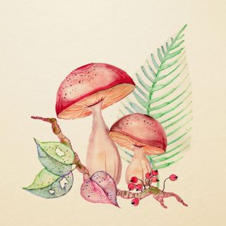 Мухомор рисунок