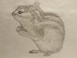 Хомяк эскиз