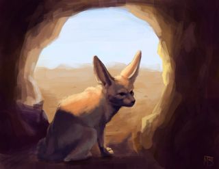 Лиса фенек рисунок