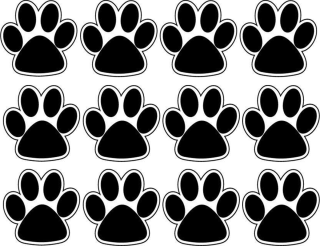 Рисунок лапа кошки