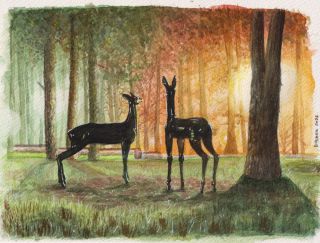 Косуля рисунок