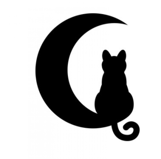 Трафарет луна