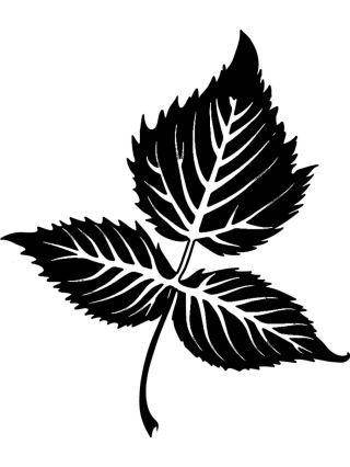 Листок трафарет