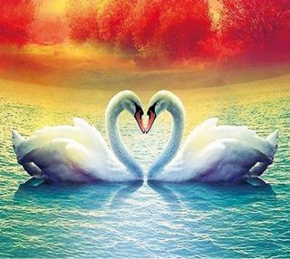 Лебеди рисунки