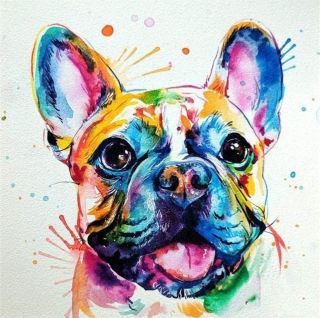 Булька рисунок