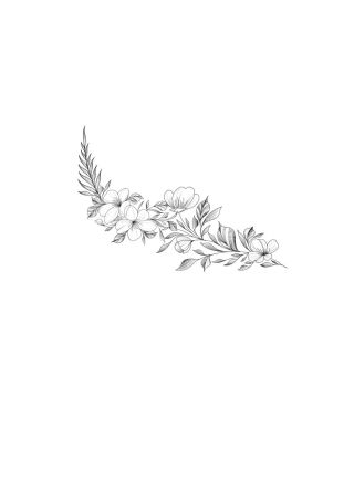 Рисунок ключицы