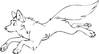 Раскраски волков