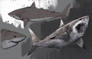 Акула скетч