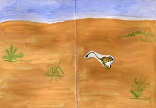 Рисунок степной зоны