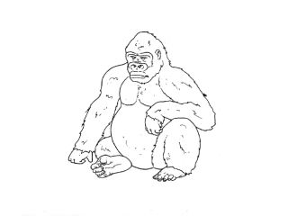 Кинг конг раскраска
